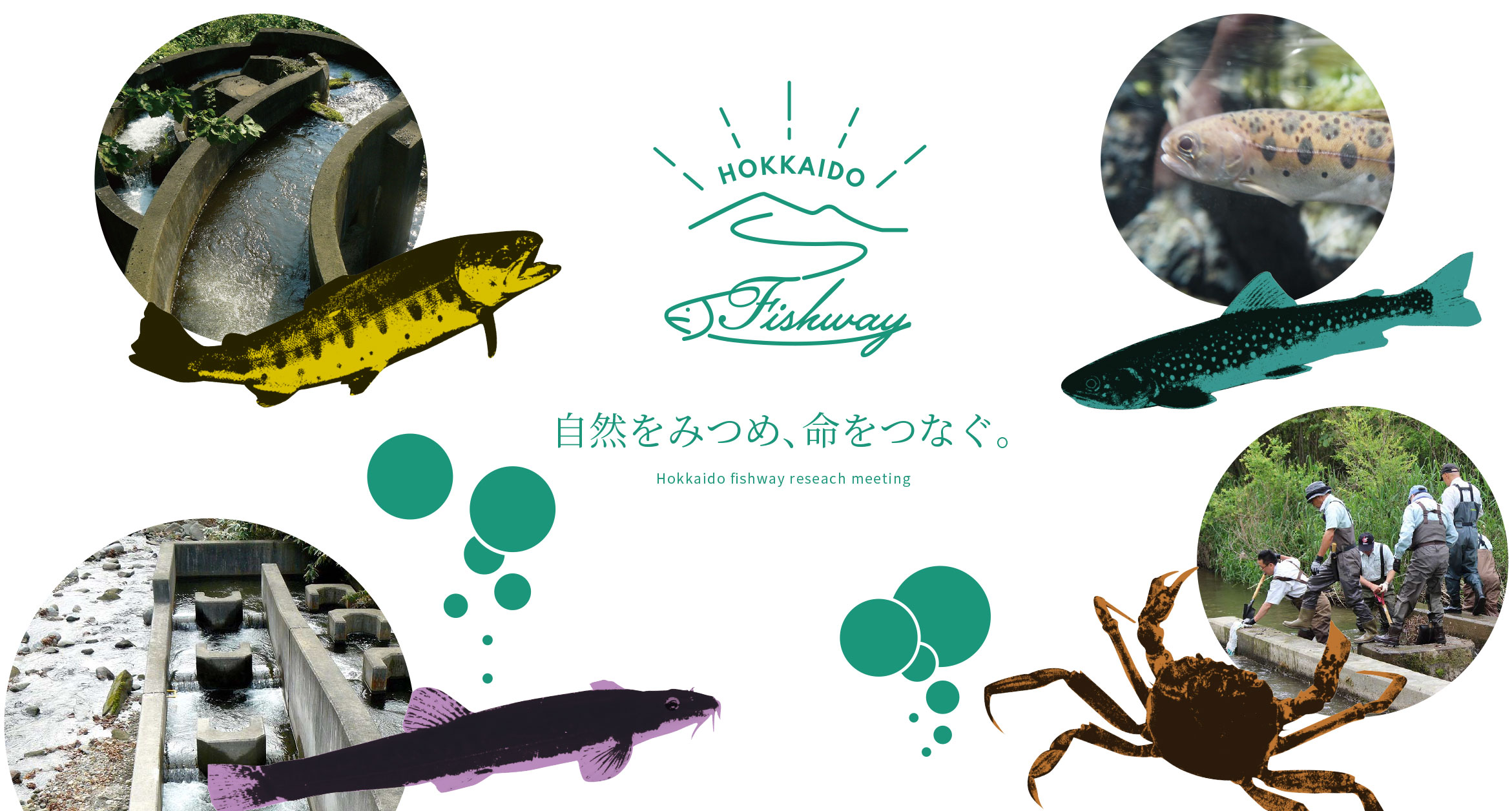 北海道魚道研究会