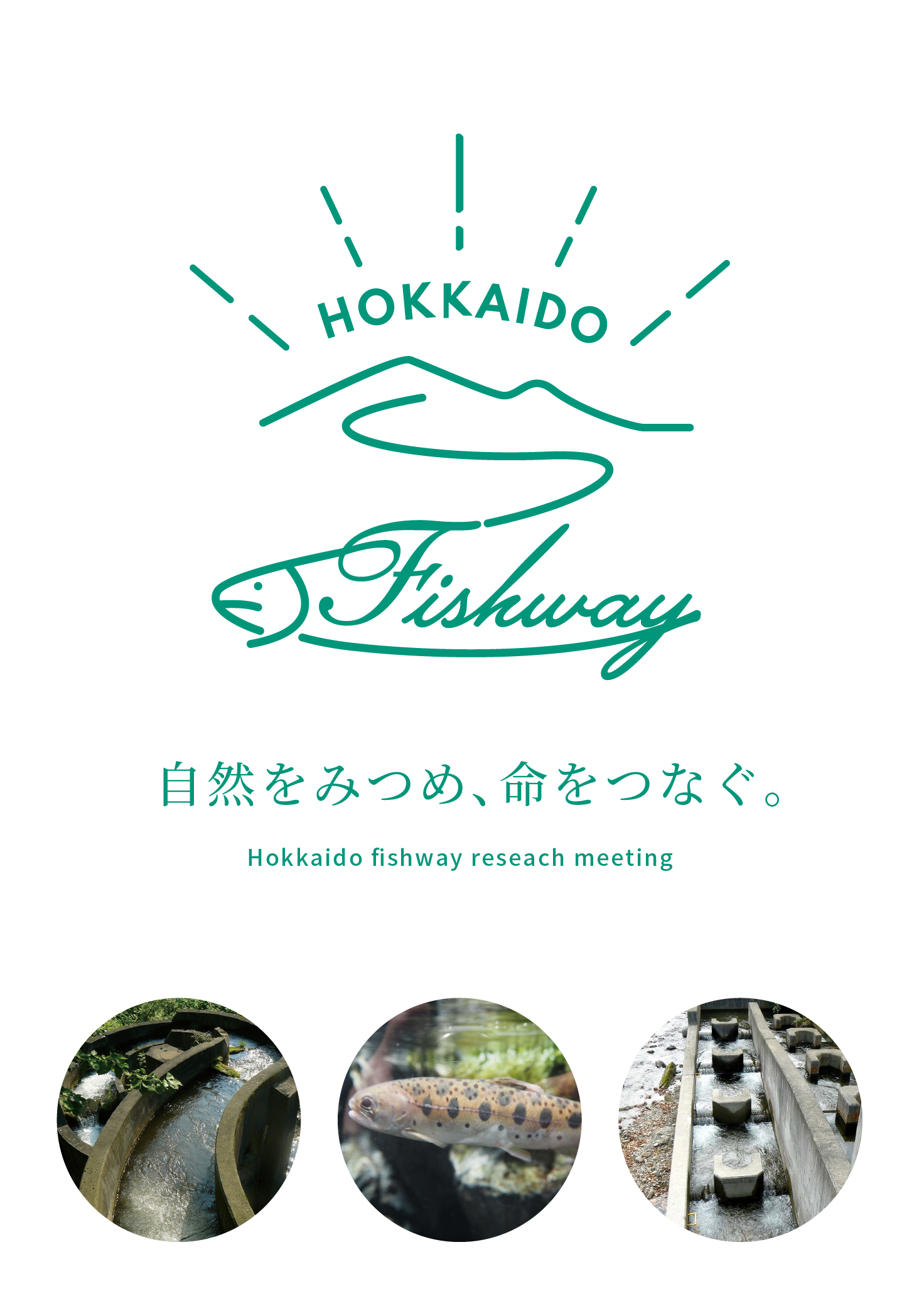 北海道魚道研究会
